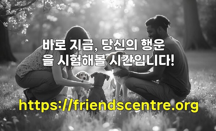 바로 지금, 당신의 행운을 시험해볼 시간입니다!